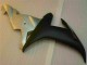Argento Carrozzeria & Carena R1 2002-2003 Argento Carrozzeria & Carena R1 2002-2003