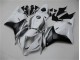 Bianco Argento Nero Carene CBR 600 RR 2009-2012 Bianco Argento Nero Carene CBR 600 RR 2009-2012