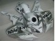 Bianco Argento Nero Repsol Kit Carene CBR 1000 RR 2004-2005 Bianco Argento Nero Repsol Kit Carene CBR 1000 RR 2004-2005
