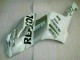 Bianco Argento Repsol Carene CBR 1000 RR 2004-2005 Bianco Argento Repsol Carene CBR 1000 RR 2004-2005