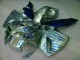 Bianco Blu Fiamma Carene CBR 600 RR 2005-2006 Bianco Blu Fiamma Carene CBR 600 RR 2005-2006