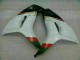 Bianco Nero Carene CBR 1000 RR 2006-2007 Bianco Nero Carene CBR 1000 RR 2006-2007