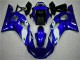 Blu ABS Kit Carenatura R6 1998-2002 Blu ABS Kit Carenatura R6 1998-2002