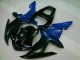 Blu Carene & Plastica R1 2002-2003 Blu Carene & Plastica R1 2002-2003