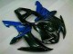 Blu Carene & Plastica R1 2002-2003 Blu Carene & Plastica R1 2002-2003