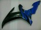 Blu Carene & Plastica R1 2002-2003 Blu Carene & Plastica R1 2002-2003