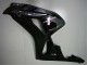 Grigio Nero Carene CBR 1000 RR 2004-2005 Grigio Nero Carene CBR 1000 RR 2004-2005