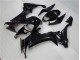 Lucido Nero Carrozzeria & Carena ZX10R 2008-2010 Lucido Nero Carrozzeria & Carena ZX10R 2008-2010