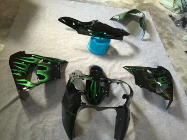 Lucido Nero Verde Fiamma Carene ZX9R 2002-2003