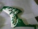 Carene Moto Honda CBR1000RR 2006-2007 - Bianco Verde Fiamma