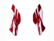 Carena Moto Honda CBR400R 2022 - Bianco Rosso Blu