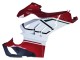 Carene Moto Ducati Panigale V4 V4S 2020-2021 - Bianco Rosso Verde Nero Opaco