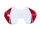 Carene Moto Ducati Panigale V4 V4S 2018-2019 - Bianco Rosso Verde Nero Lucido