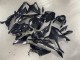 Carene Moto BMW S1000RR 2023-2024 - Nero Lucido Fibra di Carbonio