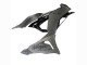 Carene Moto Kawasaki ZX6R 2023-2025 - Grigio Ninja