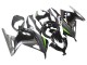Carene Moto Kawasaki EX300 2013-2017 - Nero Lucido Nero Opaco Verde