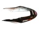 Carene Moto Honda CBR600 F4i 2004-2007 - Bianco Nero Lucido Rosso Repsol