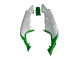 Carene Moto Kawasaki ZX7R 1996-2003 - Bianco Verde Nero