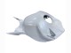Carene Moto Honda CBR1000RR 2004-2005 - Bianco Perla