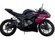 Carene Moto Kawasaki ZX6R 2019-2022 - Nero Lucido Rosa Ninja