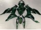 Carene Moto Kawasaki ZX6R 2019-2022 - Verde Scuro