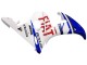 Carene Moto Yamaha YZF 600 R6 2005 - Bianco Blu Dunlop Fiat Motul
