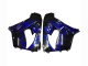 Carene Moto Kawasaki ZX9R 2000-2001 - Nero Lucido Blu Fiamma Bianco