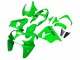 Carene Moto Kawasaki ZX9R 2000-2001 - Verde