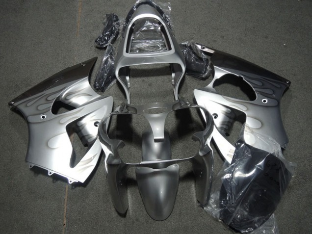 Carene Moto Kawasaki ZX6R 2000-2002 - Argento Grigio Fiamma