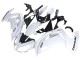 Carene Moto Kawasaki EX650 2012-2016 - Bianco Nero