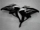 Nero ABS Kit Carenatura CBR 600 RR 2005-2006 Nero ABS Kit Carenatura CBR 600 RR 2005-2006