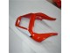 Nero Bianco Carene R6 1998-2002 Nero Bianco Carene R6 1998-2002