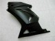 Nero Opaco Carrozzeria & Carena EX250 2008-2012 Nero Opaco Carrozzeria & Carena EX250 2008-2012
