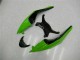 Nero Verde Rosso Carene ZX6R 2009-2012 Nero Verde Rosso Carene ZX6R 2009-2012