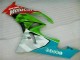 Rosso Verdecard Carene ZX6R 2009-2012 Rosso Verdecard Carene ZX6R 2009-2012