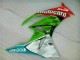 Rosso Verdecard Carene ZX6R 2009-2012 Rosso Verdecard Carene ZX6R 2009-2012