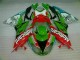 Rosso Verdecard Carene ZX6R 2009-2012 Rosso Verdecard Carene ZX6R 2009-2012