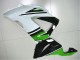Verde Bianco Nero Carene ZX6R 2013-2018 Verde Bianco Nero Carene ZX6R 2013-2018