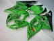Verde Carena GSXR 1000 K5 2005-2006 Verde Carena GSXR 1000 K5 2005-2006