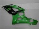 Verde Carena GSXR 1000 K5 2005-2006 Verde Carena GSXR 1000 K5 2005-2006