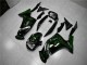 Verde Fiamma Carene EX650 2006-2008 Verde Fiamma Carene EX650 2006-2008