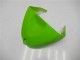 Verde Kit Carena & Plastica ZX6R 2005-2006 Verde Kit Carena & Plastica ZX6R 2005-2006