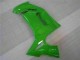 Verde Kits Carene EX650 2006-2008 Verde Kits Carene EX650 2006-2008