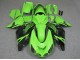 Verde Nero Carene ZX14R ZZR 1400 2006-2011 Verde Nero Carene ZX14R ZZR 1400 2006-2011