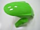 Verde Nero Carrozzeria & Carena ZX10R 2011-2015 Verde Nero Carrozzeria & Carena ZX10R 2011-2015