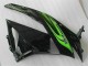 Verde Nero Carrozzeria & Carena ZX6R 2009-2012 Verde Nero Carrozzeria & Carena ZX6R 2009-2012