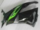 Verde Nero Carrozzeria & Carena ZX6R 2009-2012 Verde Nero Carrozzeria & Carena ZX6R 2009-2012