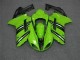 Verde Nero Carrozzeria & Plastica ZX6R 2007-2008 Verde Nero Carrozzeria & Plastica ZX6R 2007-2008