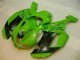 Verde Nero Dunlop Carene ZX6R 2007-2008 Verde Nero Dunlop Carene ZX6R 2007-2008
