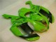 Verde Nero Dunlop Carene ZX6R 2007-2008 Verde Nero Dunlop Carene ZX6R 2007-2008